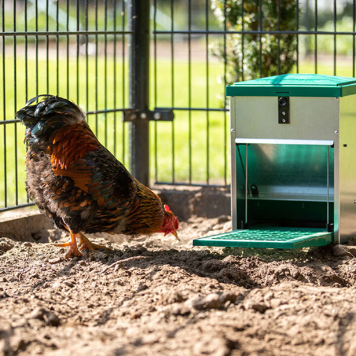 Feedomatic Futterautomat mit Trittklappe